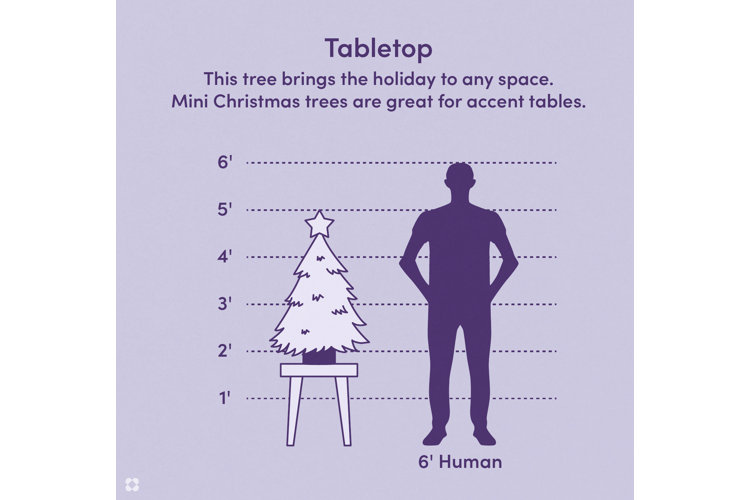 Your Guide to Christmas Tree Sizes Wayfair